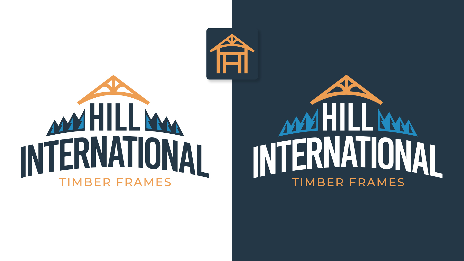 Hill International Logo